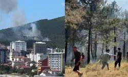 İstanbul'da orman yangını paniği!