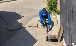 İzmir’de sivrisineğe geçit yok: 30 ilçe 254 bin noktada yoğun ilaçlama