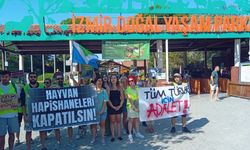 İzmir’de Zeus ve Pars için sesler yükseldi: Hayvanat bahçelerine değil, yaşayan ormanlara ihtiyacımız var