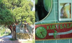 İzmir'deki Kurt Baba Türbesi nerede? Kurt Baba Türbesi'ne ESHOT ile nasıl gidilir?