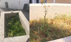 İzmir'deki Soğancı Dede Türbesi nerede? Soğancı Dede Türbesi'ne ESHOT ile nasıl gidilir?