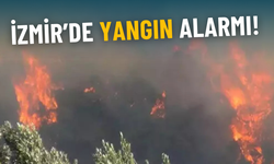İzmir’de orman yangını alarmı: Bornova’daki alevler Buca’ya sıçradı, müdahale sürüyor