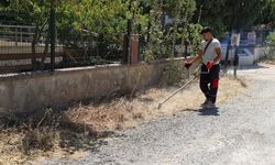 Haşereye ve yangına karşı çifte önlem: Menderes Belediyesi sahada