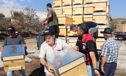 İzmir yangını sonrası köylülerin yüzü gülecek: Telef olan hayvanlar ve arı kovanlarına destek!