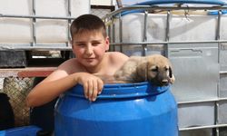 Sıcaktan bunaldı, köpeğiyle birlikte su dolu varile girdi: Görüntüler yürek ısıttı