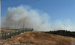 Son dakika... Urla’daki orman yangını kontrol altına alındı
