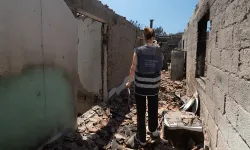İzmir'de yangın seferberliği: Zararlar tek tek tespit ediliyor