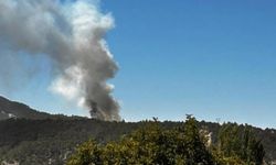 Denizli'de yangın: Müdahale sürüyor