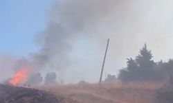 Malatya'da yangın: Müdahale sürüyor