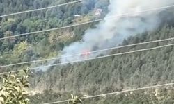 Sinop'ta yangın: Müdahale sürüyor
