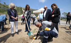 İzmir'in o ilçesinde örnek çalışma: Yapı kullanma izinleri artık böyle alınıyor!