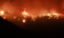 Yangın rüzgarın etkisiyle büyüyor: Vatandaşlar tahliye edildi!