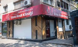 İzmir'e yeni hayvan kliniği: Yakında açılıyor, kedi Eros'un adı verilecek