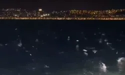 Narlıdere'de şaşırtan görüntü: Balıkların hareketi endişe yarattı