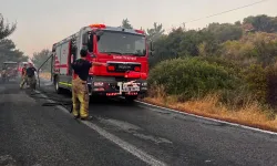 İzmir Barbaros Köyü'nde orman yangını: Bazı yollar trafiğe kapatıldı