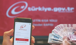 E-Devlet'te birikmiş paranız olabilir: Bu iki adımla öğrenmek mümkün