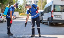 Buca’da 24 saat ilaçlama seferberliği başladı