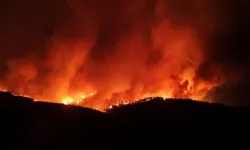 Çanakkale Gelibolu'daki yangına müdahale yeniden başladı!