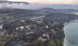 Çanakkale'de orman yangını: Evler kül oldu