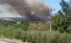 Çanakkale'de bir gün arayla ikinci orman yangını: Alevler rüzgarla hızla yayılıyor