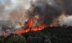 Çanakkale’den iyi haber: Günlerdir süren yangın kontrol altına alındı