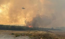 Çanakkale yangınıyla ilgili yeni gelişme: 4 şüpheli gözaltına alındı