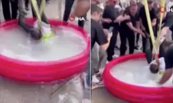 Damatta ‘işkence’ ritüeline yenisi eklendi: Vinçte sallandırıp, suya soktular!
