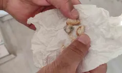 Ekmekten öyle bir şey çıktı ki! Neredeyse dişini kıracaktı