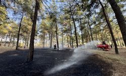 Fethiye’de orman yangını paniği: Ekipler anında müdahale etti