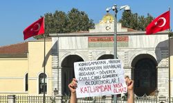 Sokak hayvanlarını toplatma genelgesine tepki: Güvensizlik hayvanlara değil politikalara