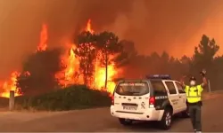 İspanya felaketi yaşıyor: 14 farklı noktada orman yangını
