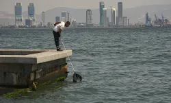 İzmir Körfezi'nde balık ölümleri: Uzman isim çözümü anlattı