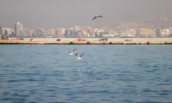 İzmir Körfezi yine kokuyor