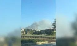 Buca’da yangın: Alevler ormana sıçradı!