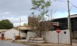 İzmir'de yol çalışmasına direnen sır dolu yatır: Rüyalara giriyor!