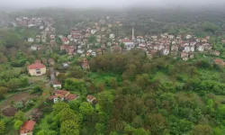 Ege'nin 101 köylü ilçesi: Orman ve su kaynakları ile kanser hastalarına şifa dağıtıyor