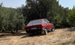 Kayıp olarak aranıyordu: 3 gün sonra ormanda ölü bulundu