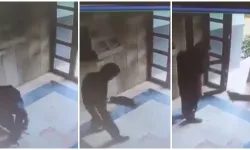 Kediyi acımasızca öldürmüştü: O cani gözaltına alındı!