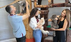 Konak'ta yüzlerce sokak hayvanı sahiplendirildi