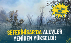 İzmir’de yangın alarmı: 1,5 ay önce küle dönen Seferihisar’da yeniden alevler yükseldi
