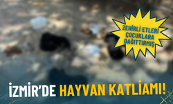İzmir’de hayvan katliamı: Zehirli etleri çocuklara dağıttırmış