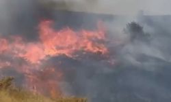 Malatya'da yangın: Hayvanlar tahliye edildi