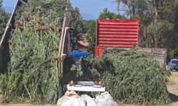 Muğla’da kaçakçılık operasyonu: 2 kişi tutuklandı