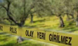 Sağanaktan korunmak isterken hayatını kaybetti