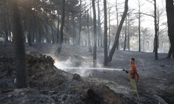 Çanakkale'deki iki yangın 'tamamen' kontrol altına alındı