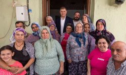İzmir’de yangın yaraları sarılıyor