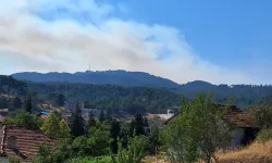 Ege'nin iki kenti alev alev: Yerleşim yerlerini tehdit ediyor, 1 kişi yaralandı