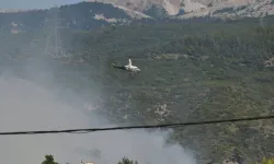 Yunanistan’da son 4 günde 242 orman yangını!
