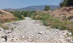 Bergama'da çiftçi isyanda: Bakırçay'la birlikte ürünler de kurudu