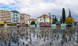 Bornova hakkında bilmeniz gereken her şey